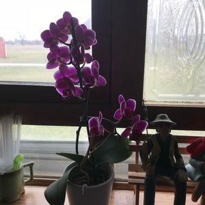 Meet your Posher, Jamie